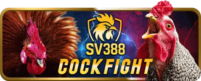 Sân vận động Premier League với khán giả và ánh đèn rực rỡ