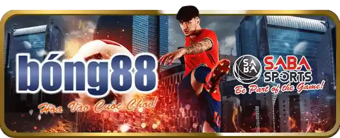 Cúp C1 Champions League lấp lánh trên nền sân vận động